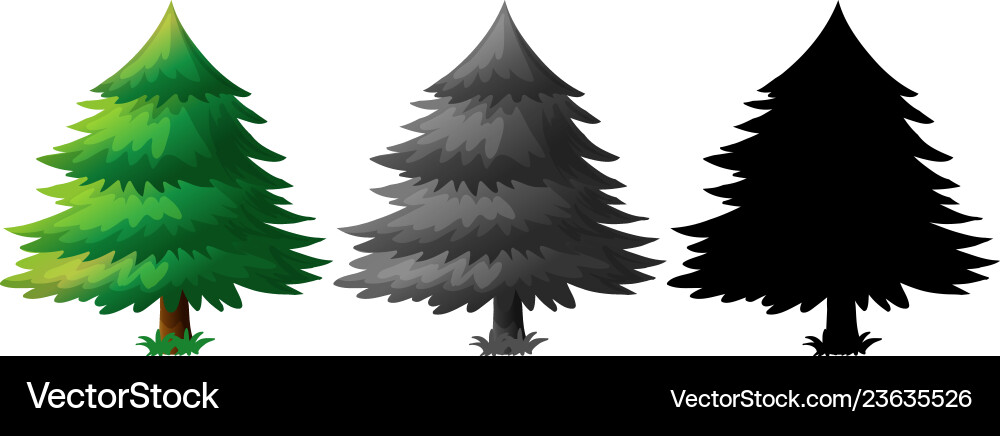 Pine Tree Collection vector image