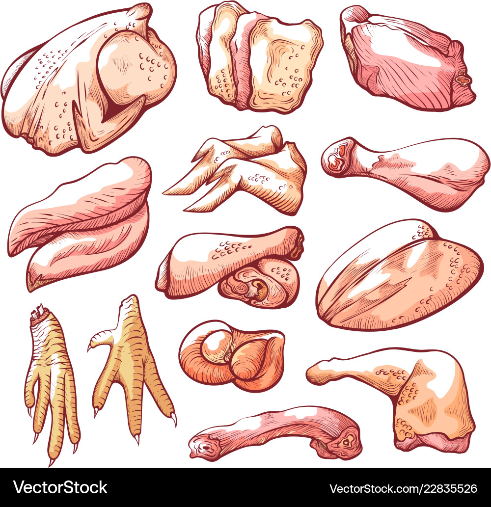 Raw chicken delicious meat for healthy cooking Raw chicken delicious meat for healthy cooking vector image