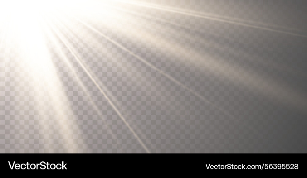 Sunlight rays with soft glow on transparent Sunlight rays with soft glow on transparent vector image