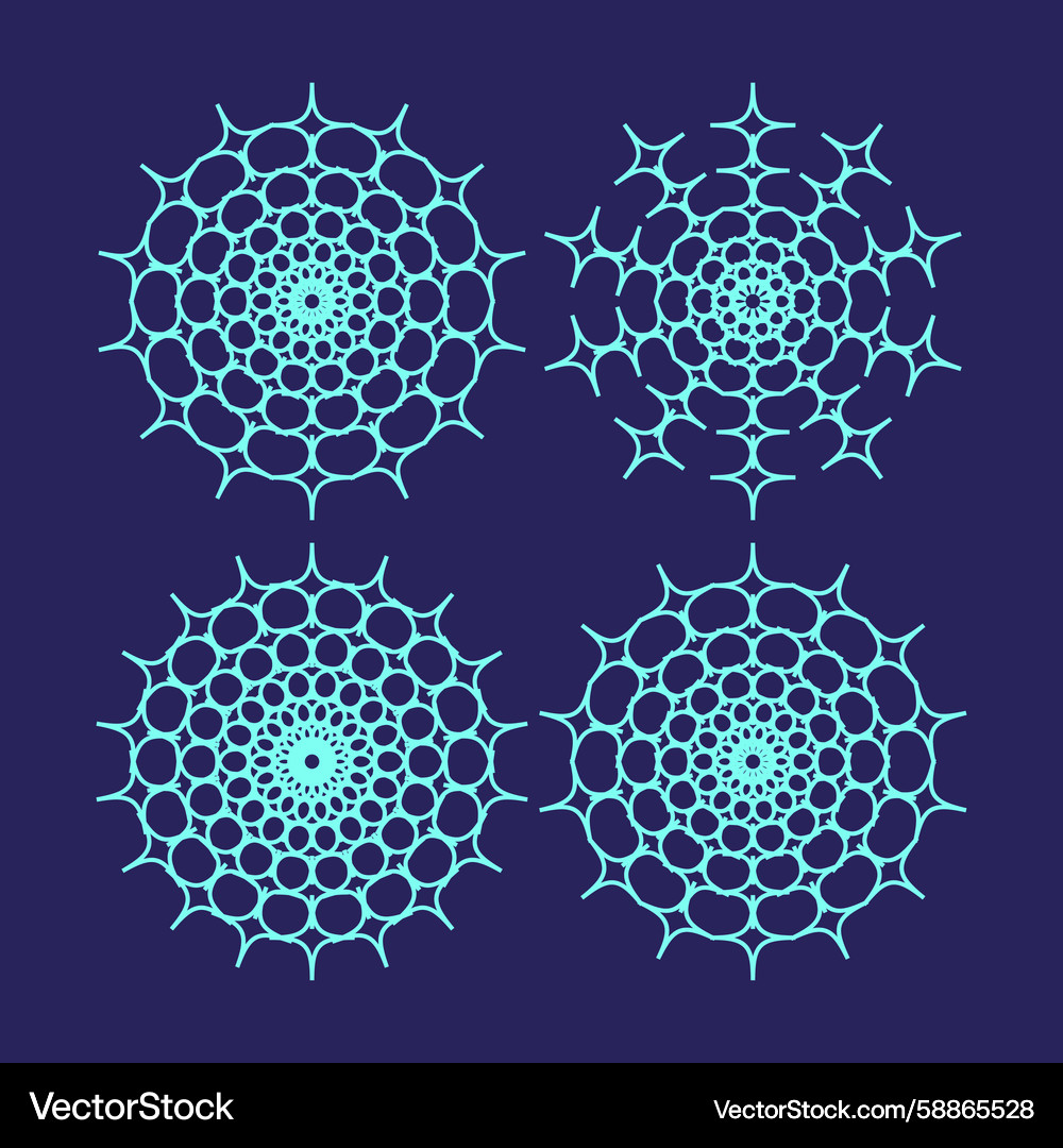 Web style patterns intricate radial lines modern Vector Image