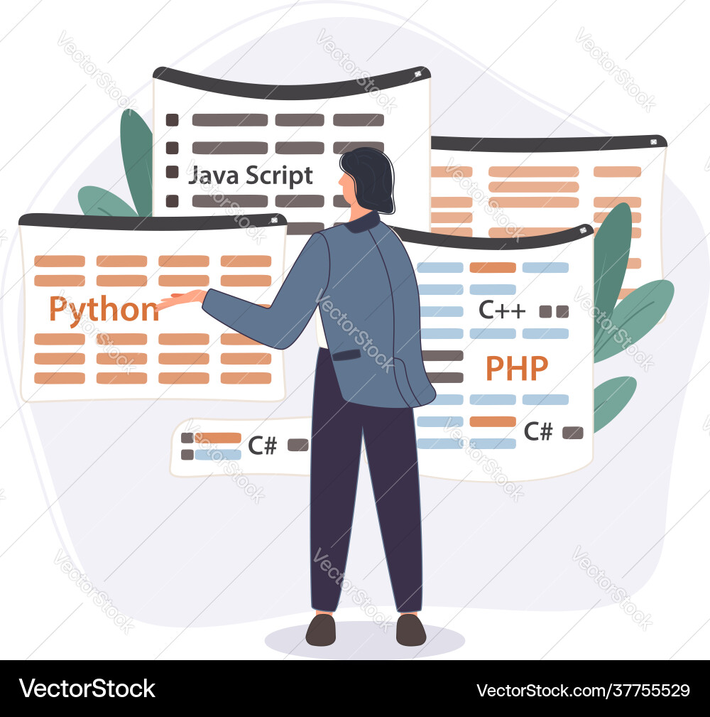 Programmer working on web development code Programmer working on web development code vector image