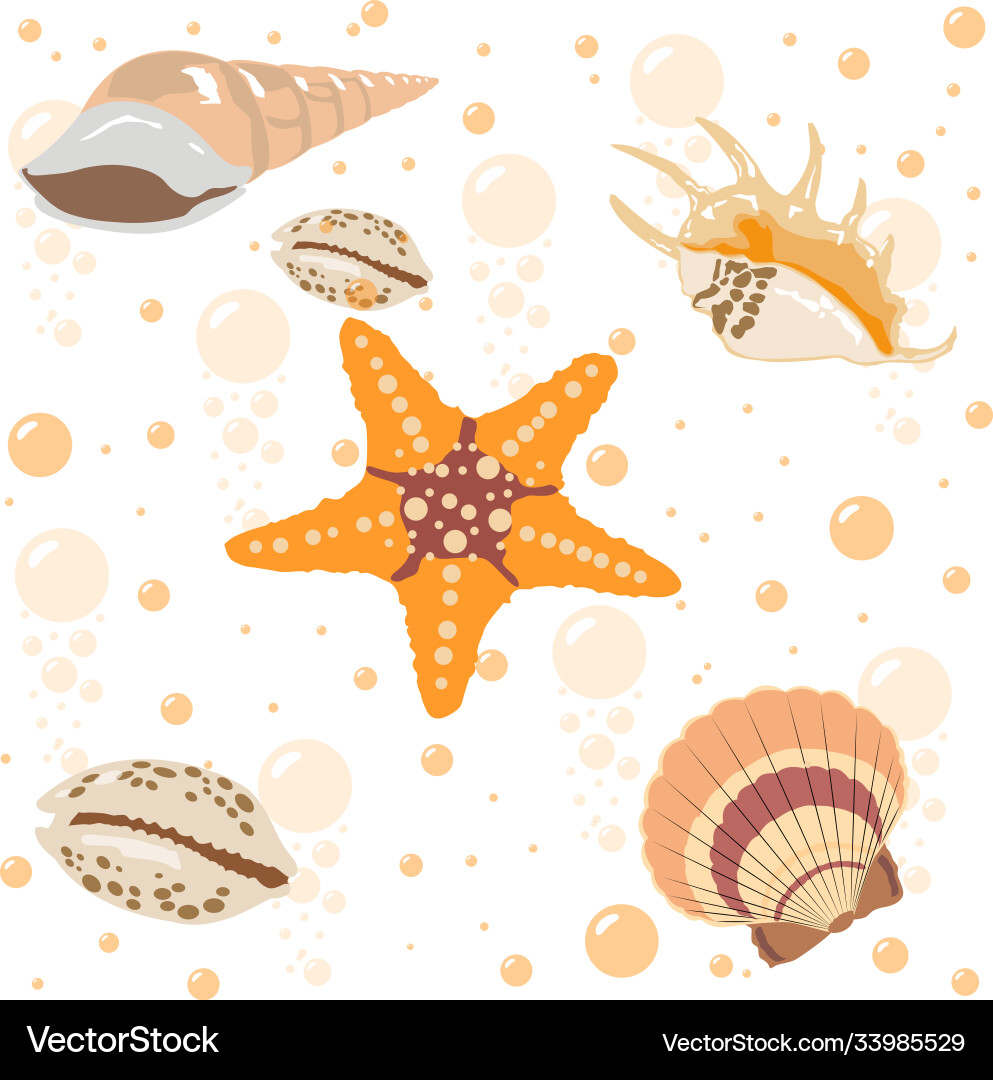 Seashells seamless pattern Seashells seamless pattern Vector Image