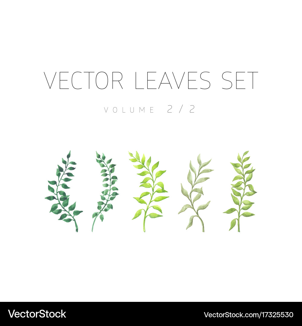 Watercolor Leaf Set - Green Flora Vector Image