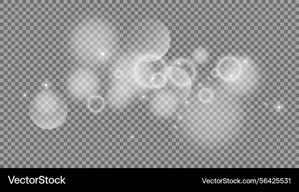 Bokeh circles on transparent background Bokeh circles on transparent background vector image