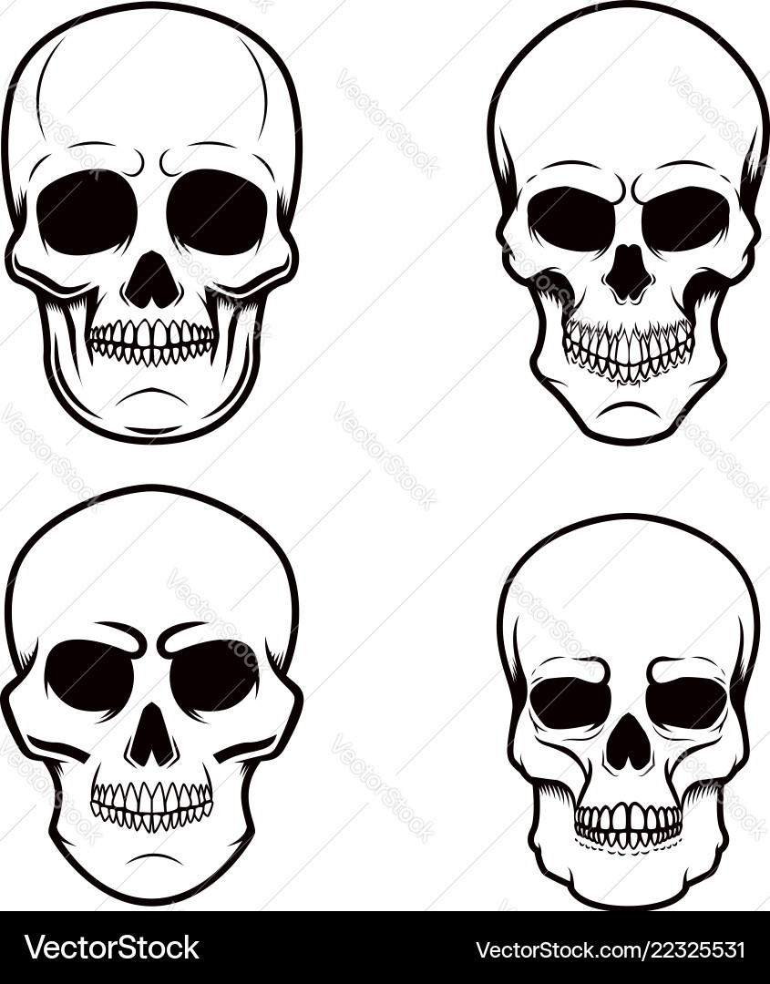 Set of skull on white background design element Set of skull on white background design element vector image