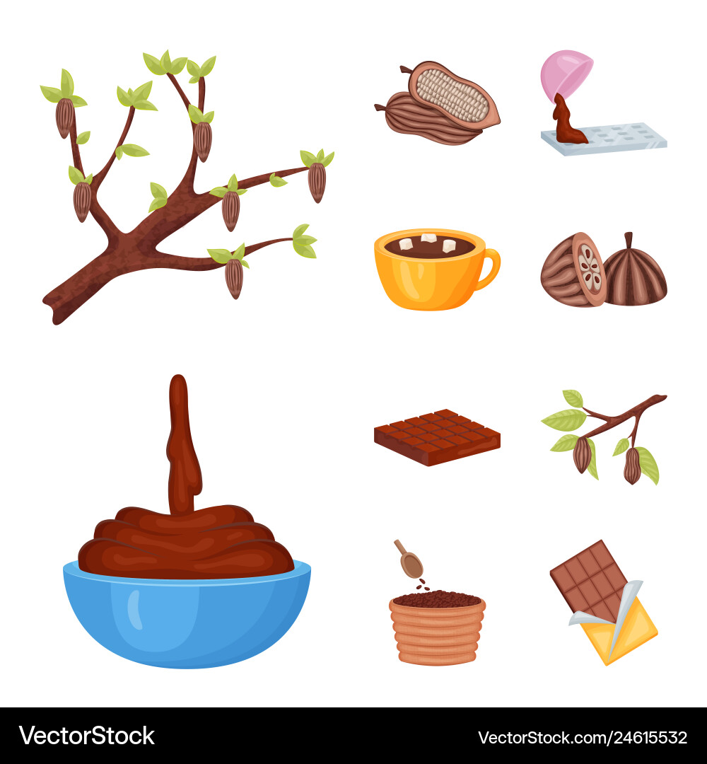 Design of cocoa and beans icon collection Design of cocoa and beans icon collection Vector Image