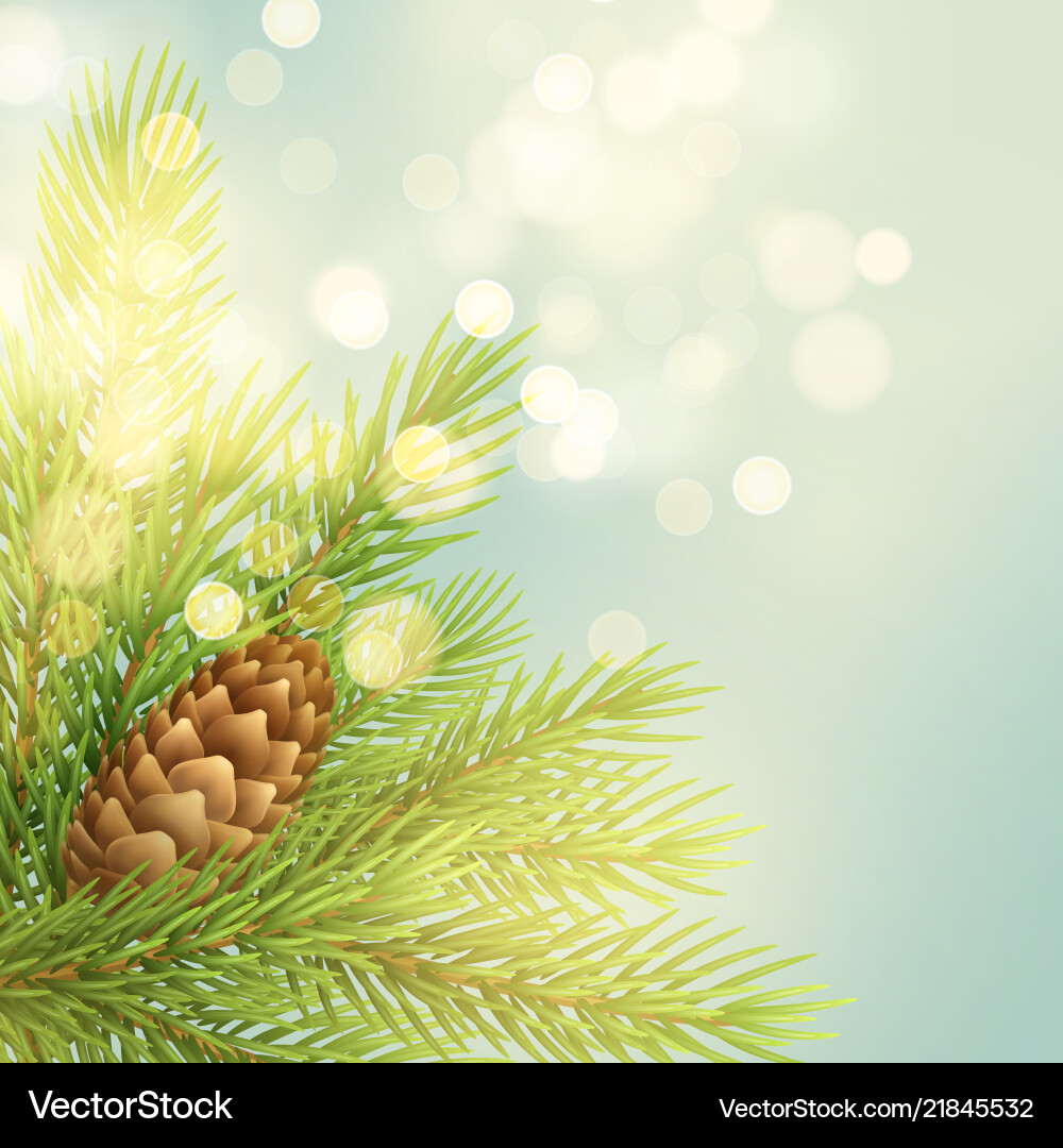 Realistic fir-tree branch with pinecone Realistic fir-tree branch with pinecone vector image