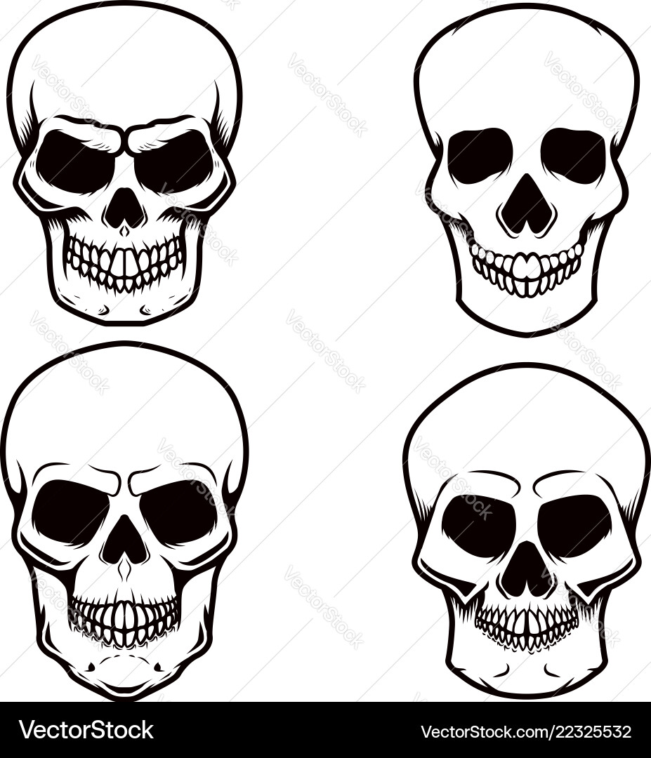 Set of skull on white background design element Set of skull on white background design element vector image
