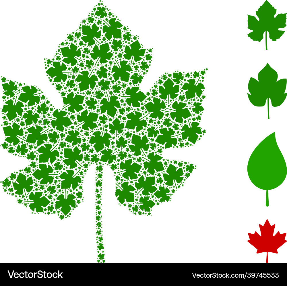 Grape leaf icon recursion mosaic Vector Image