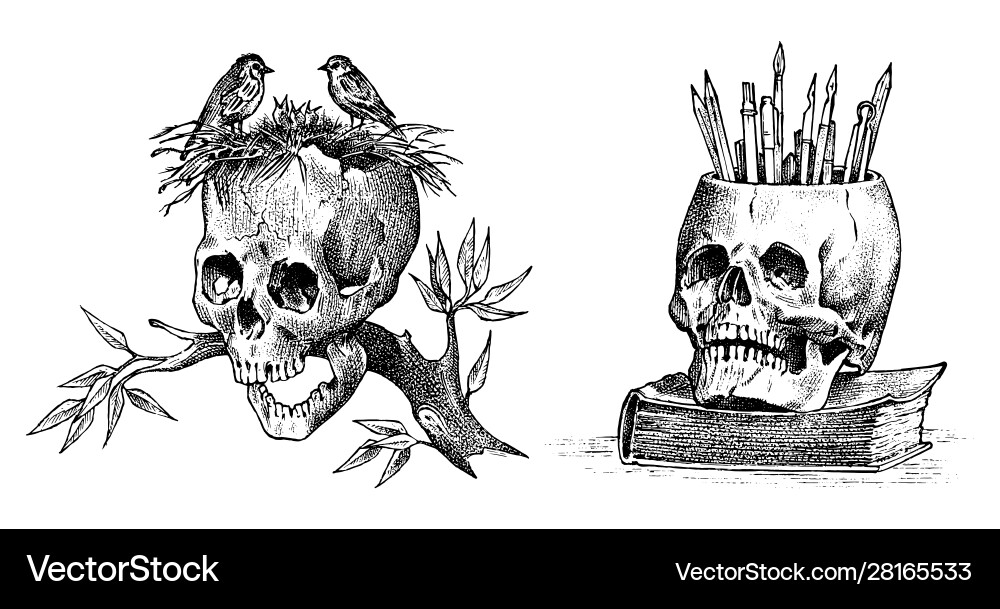 Human skull with birds and pencils retro old Human skull with birds and pencils retro old vector image