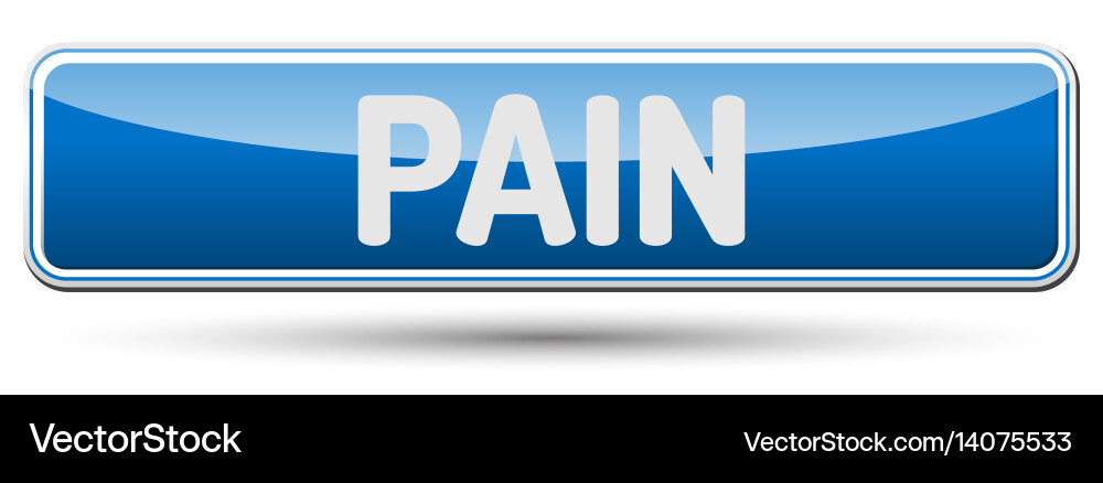 Pain - abstract beautiful button with text Vector Image
