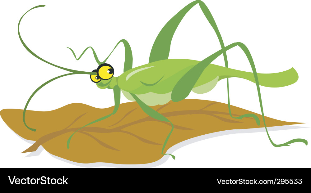 Vibrant Grasshopper Vector Image