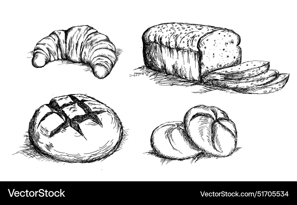 Beautiful hand drawn bread det Royalty Free Vector Image
