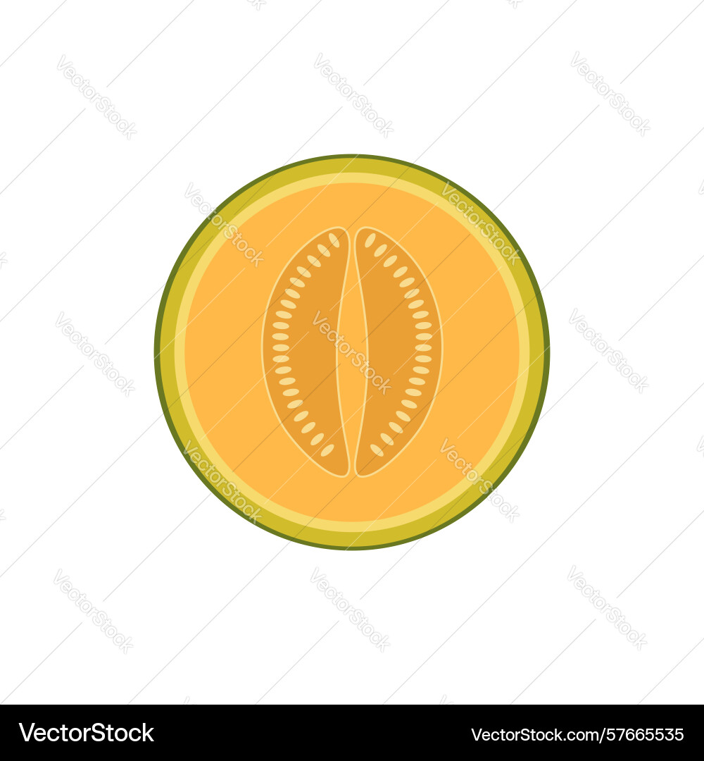 Flat melon slice in minimal style clean round Vector Image