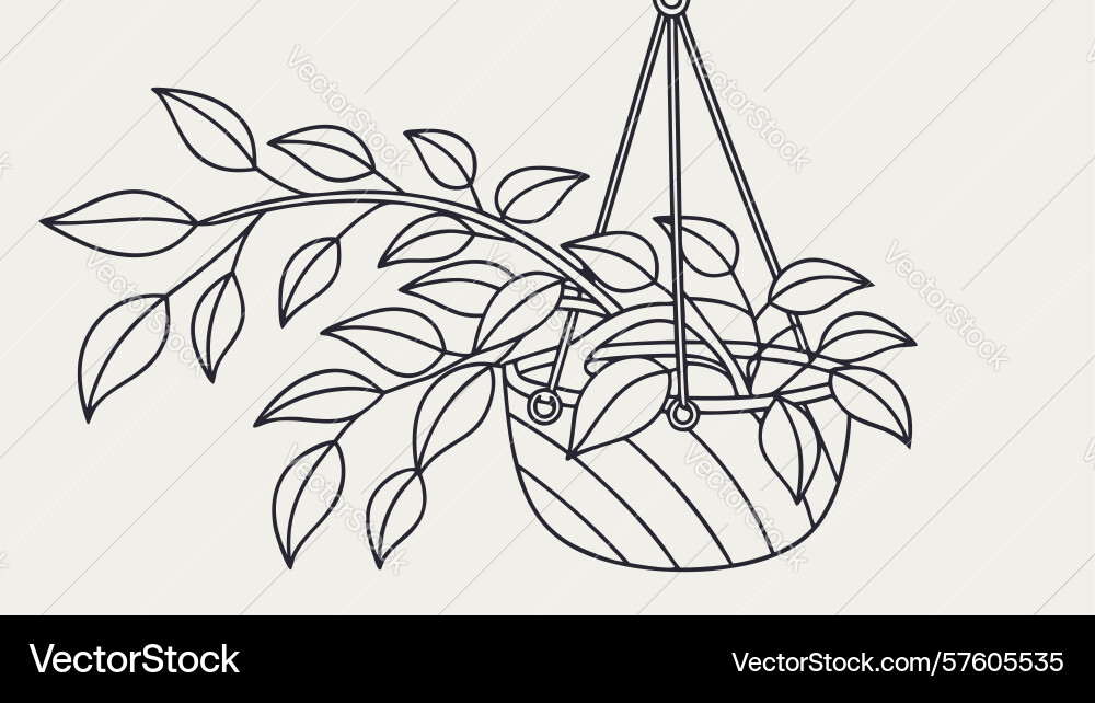 Trailing plant in hanging pot design generative Vector Image