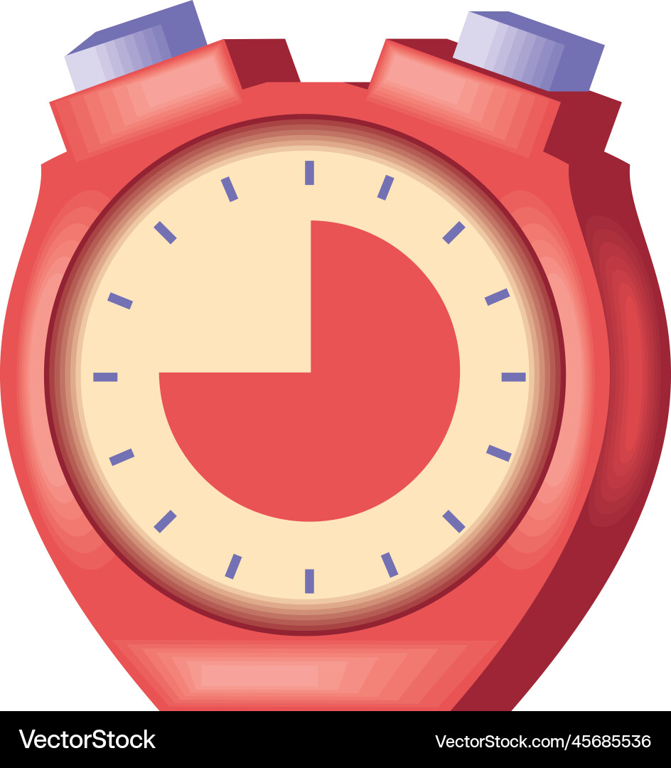 Chronometer timer icon Vector Image