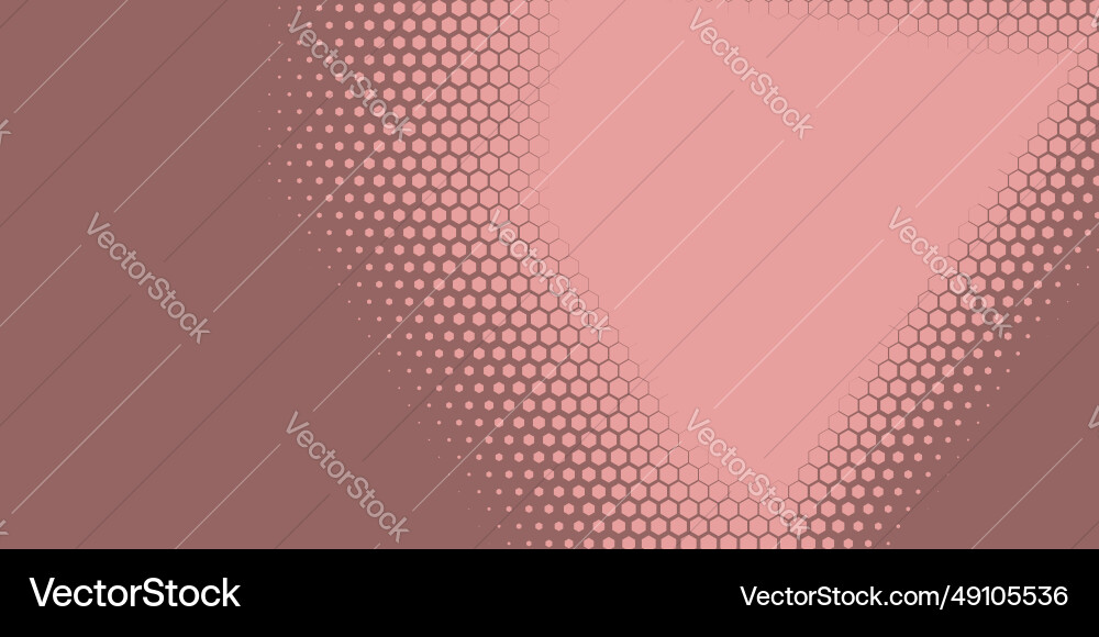 Geometric abstract hexagon two color background Vector Image