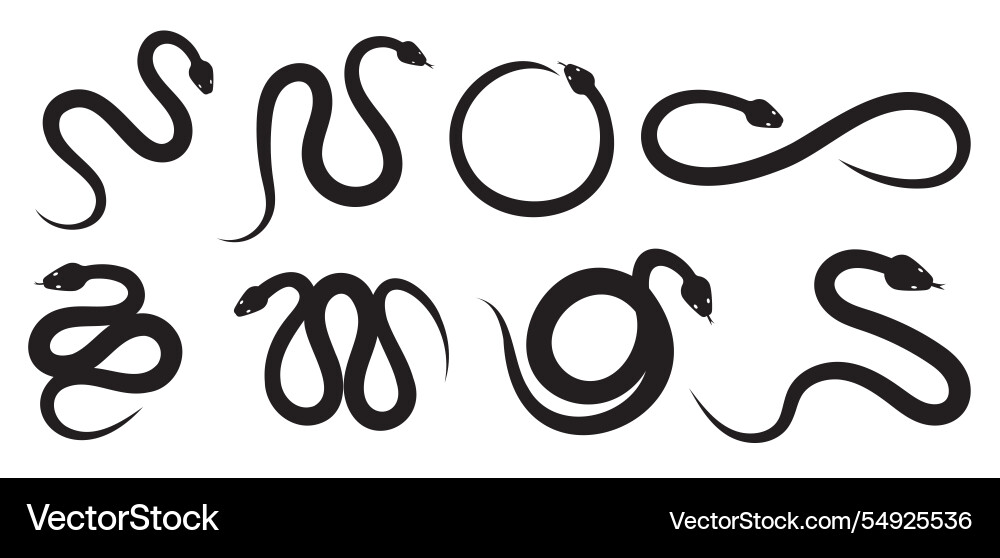 Snake silhouette set icon for chinese new Snake silhouette set icon for chinese new vector image