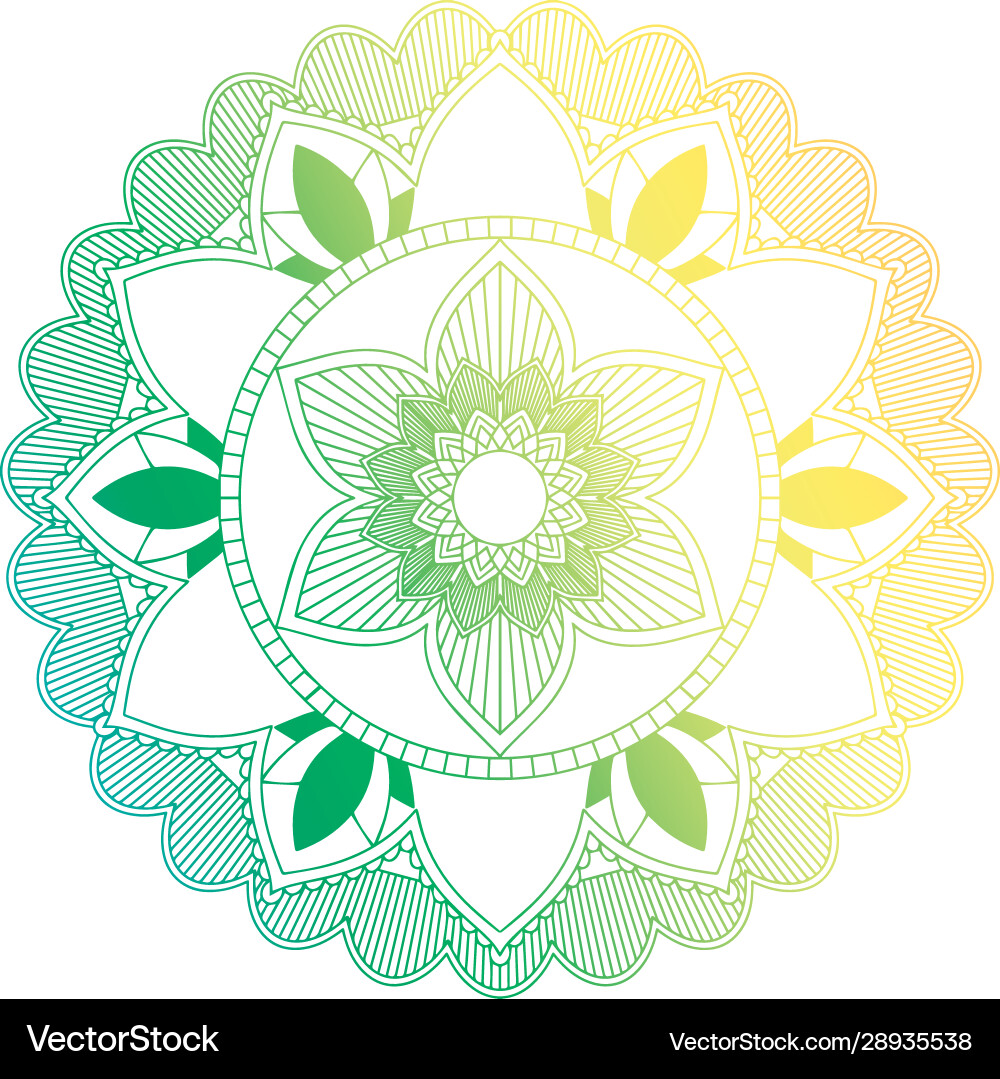 Mandala patterns on isolated background Mandala patterns on isolated background Vector Image
