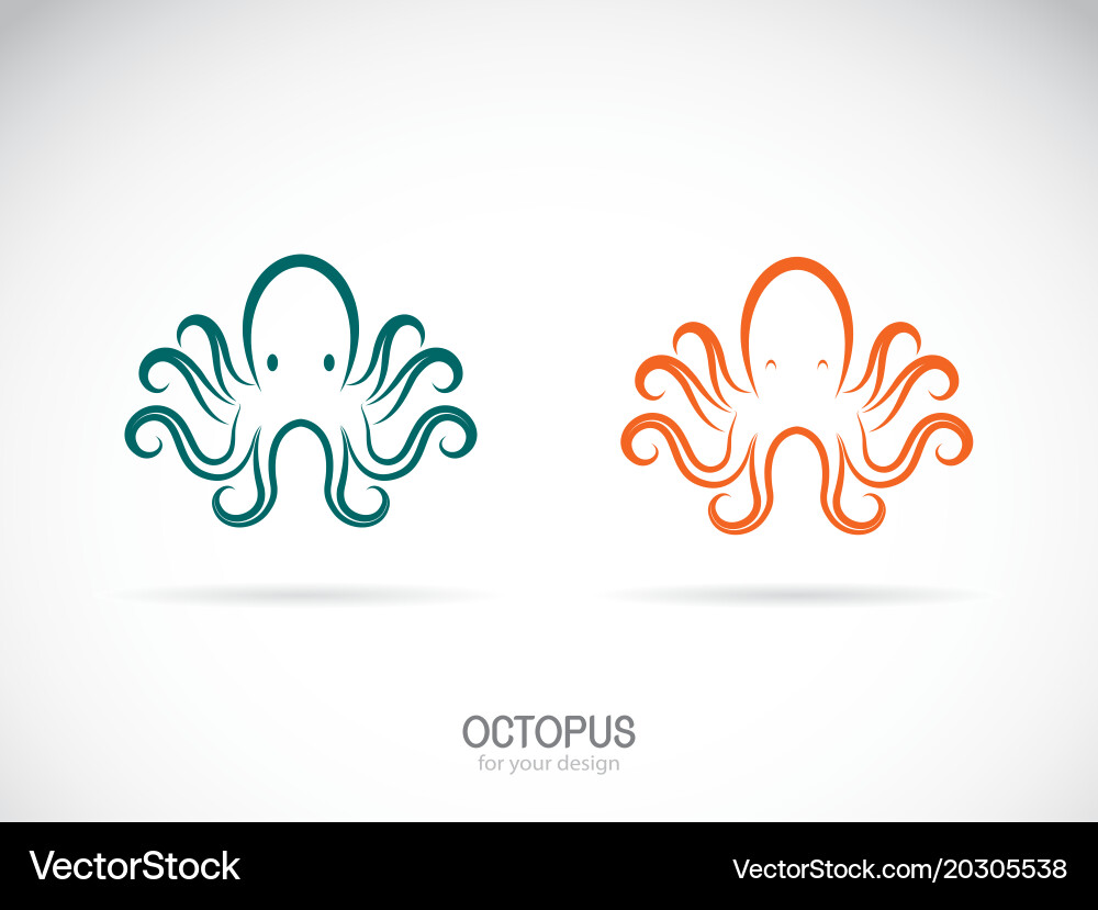 Octopus Design auf einem weißen Hintergrund aquatic Vektorbild