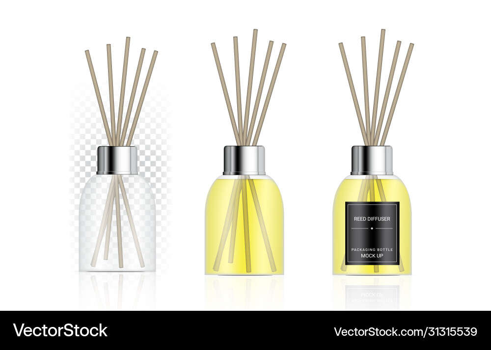 Mock up glossy transparent reed diffuser bottle Vector Image
