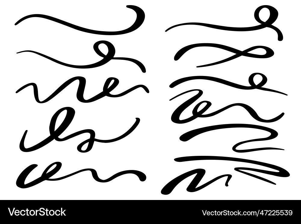 Swashes swoops and swishes calligraphy signs vector image