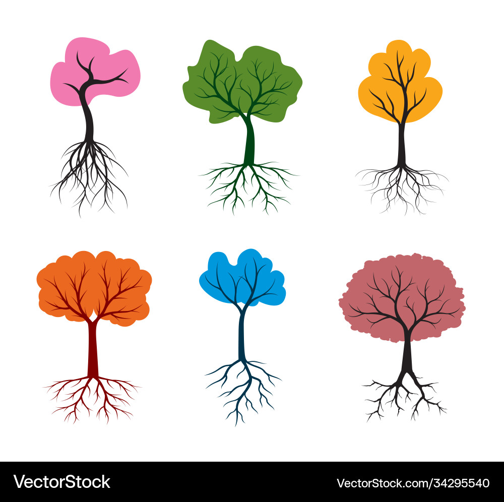Shape tree with colour leaves outline Vector Image