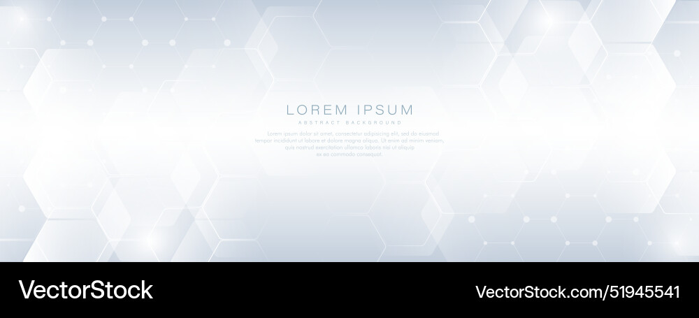 Abstract white and grey hexagonal background Abstract white and grey hexagonal background vector image