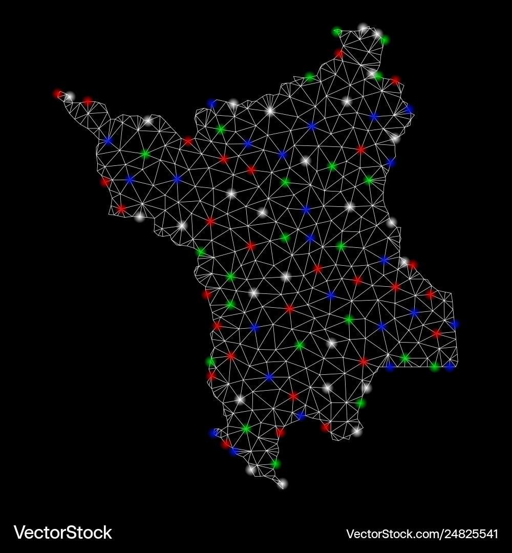 Bright mesh carcass roraima state map with light Vector Image