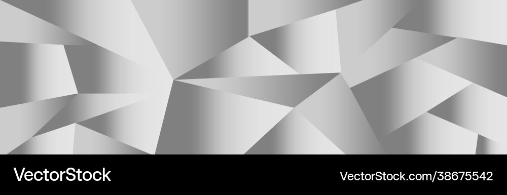 Abstract gray triangles background in different Vector Image
