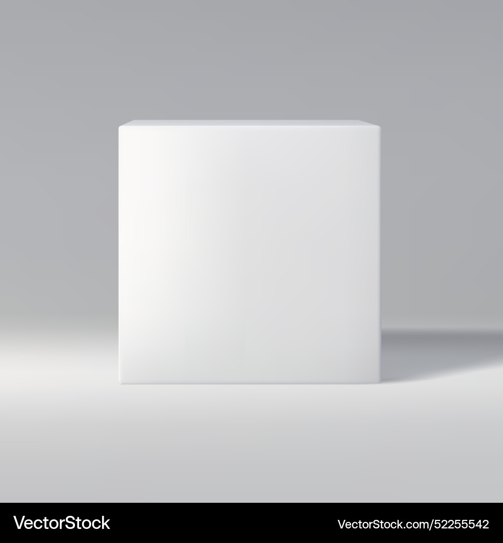 Simple white cube in front view on a gray vector image