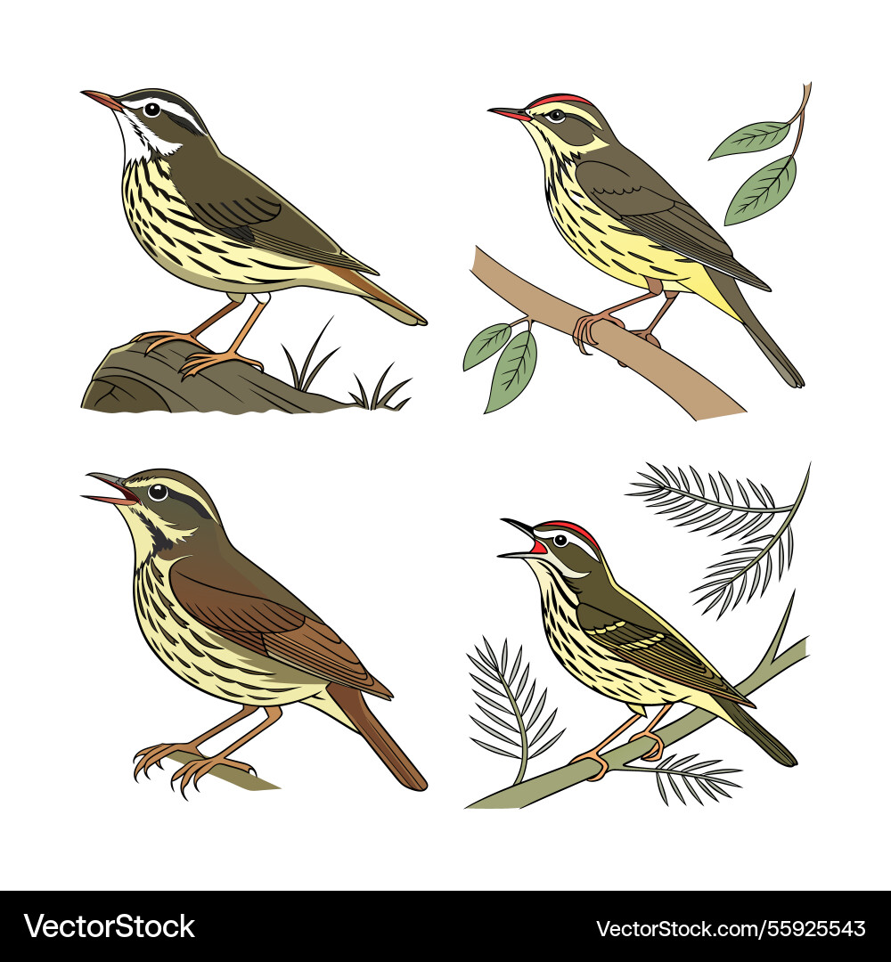 Ai-generated set of bird design Vector Image