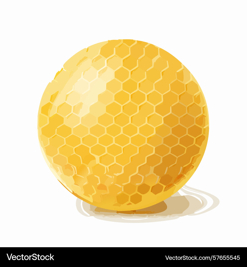Honeycomb sphere with detailed hexagon pattern Vector Image