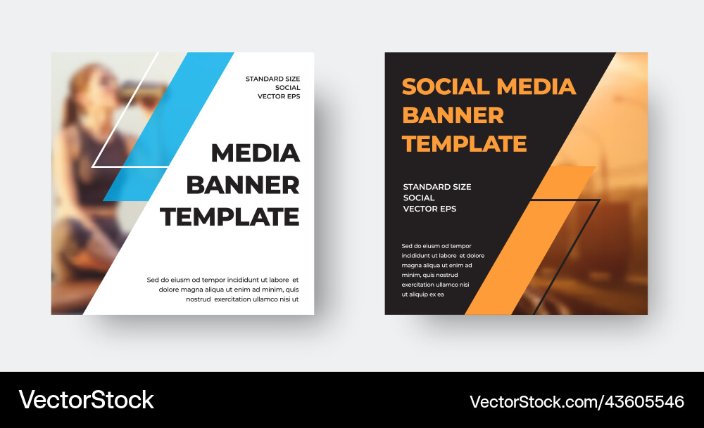 Diagonal Linear Web Banner vector image