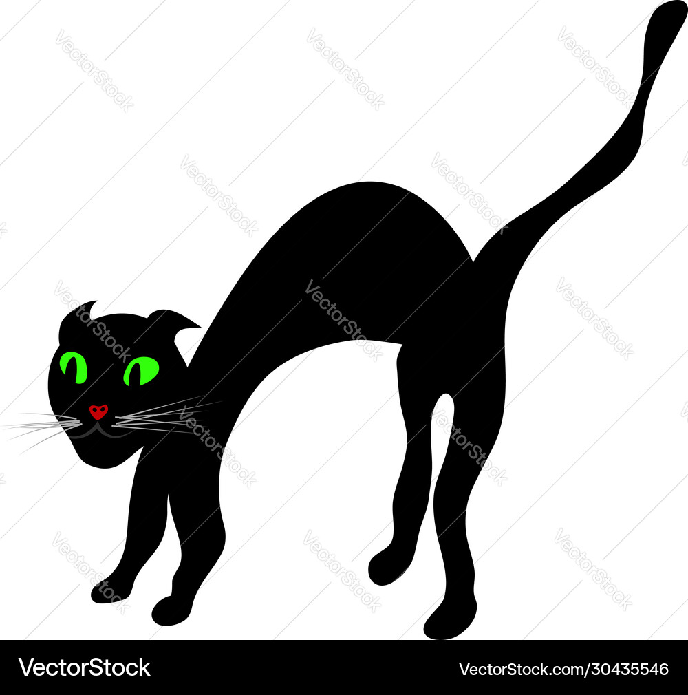 Halloween black cat vector image