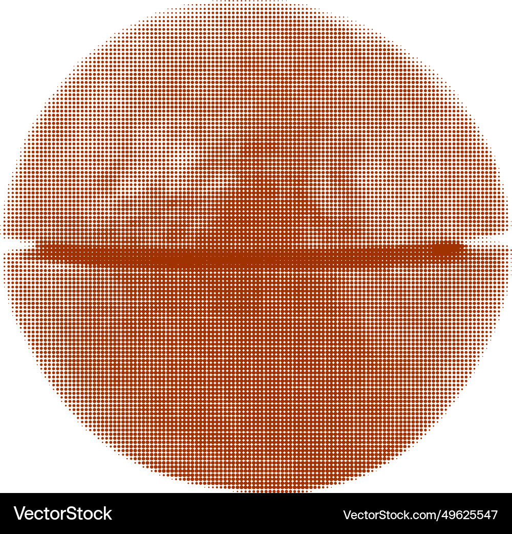 Macadamia nut in shell with an incision isolated Vector Image