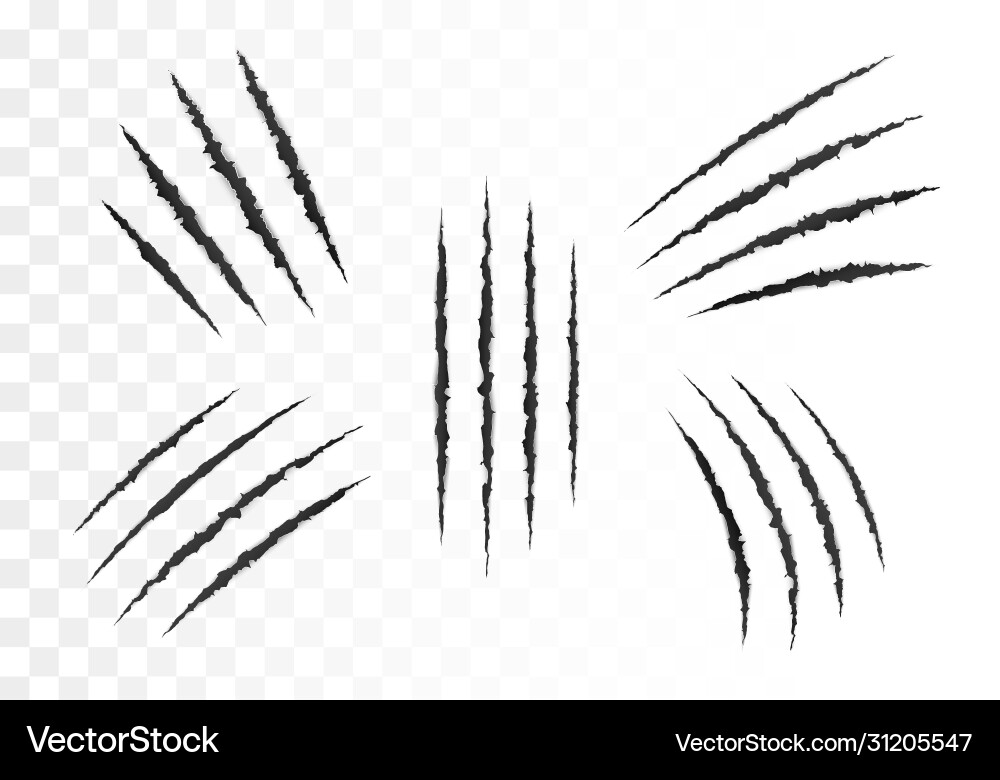 Scary Lacerations - Torn Paper Effect vector image