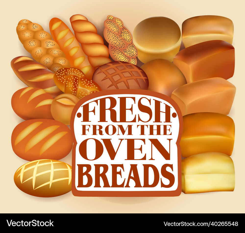 Background with a set of different fresh bread Vector Image