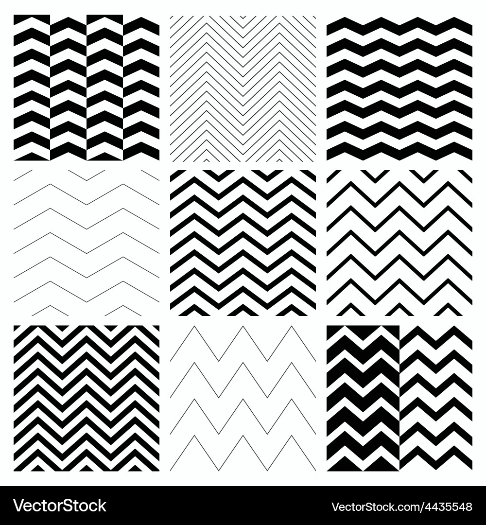Black and White Zigzag Pattern Set vector image