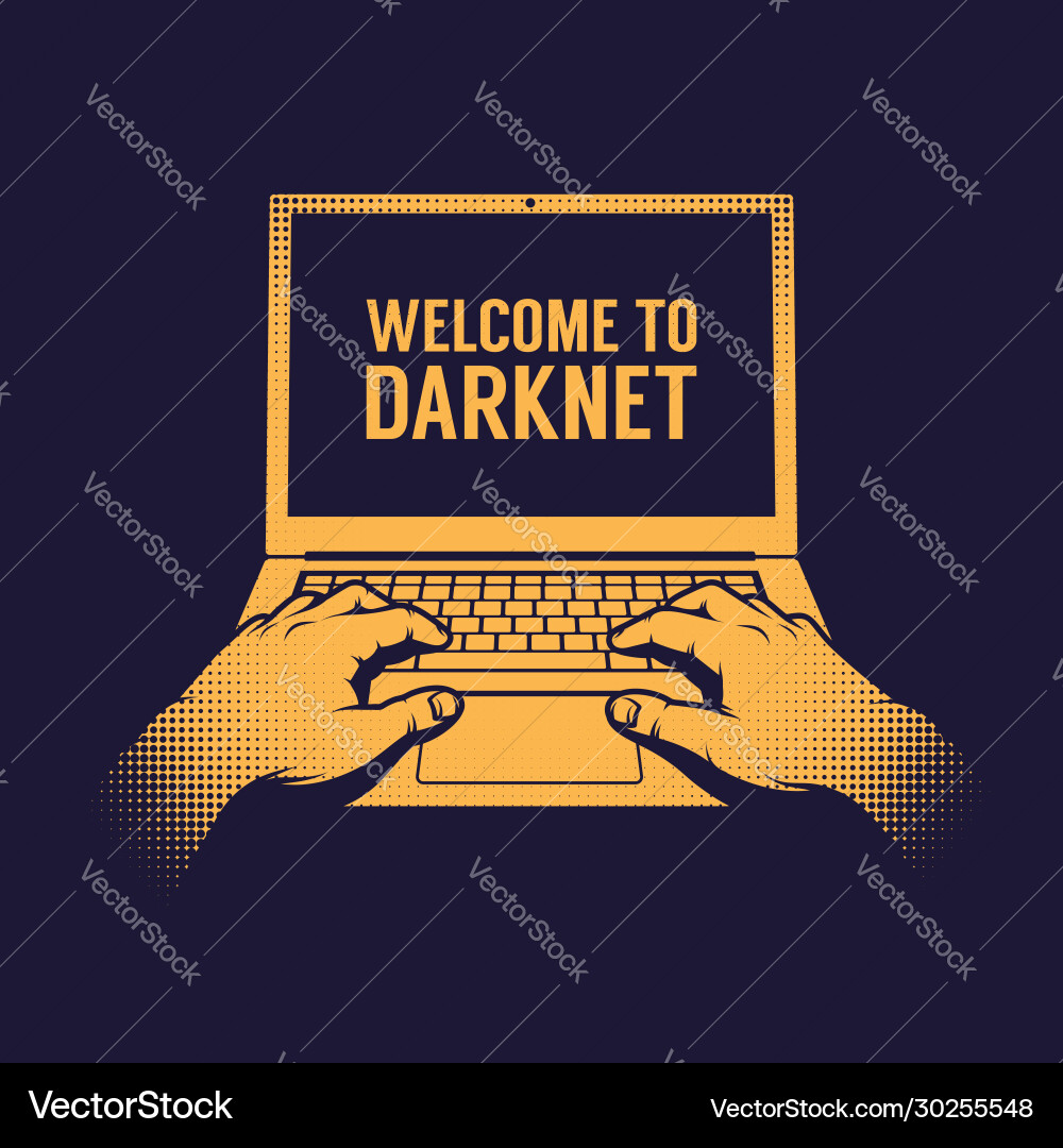 Hacker Entering Darknet vector image