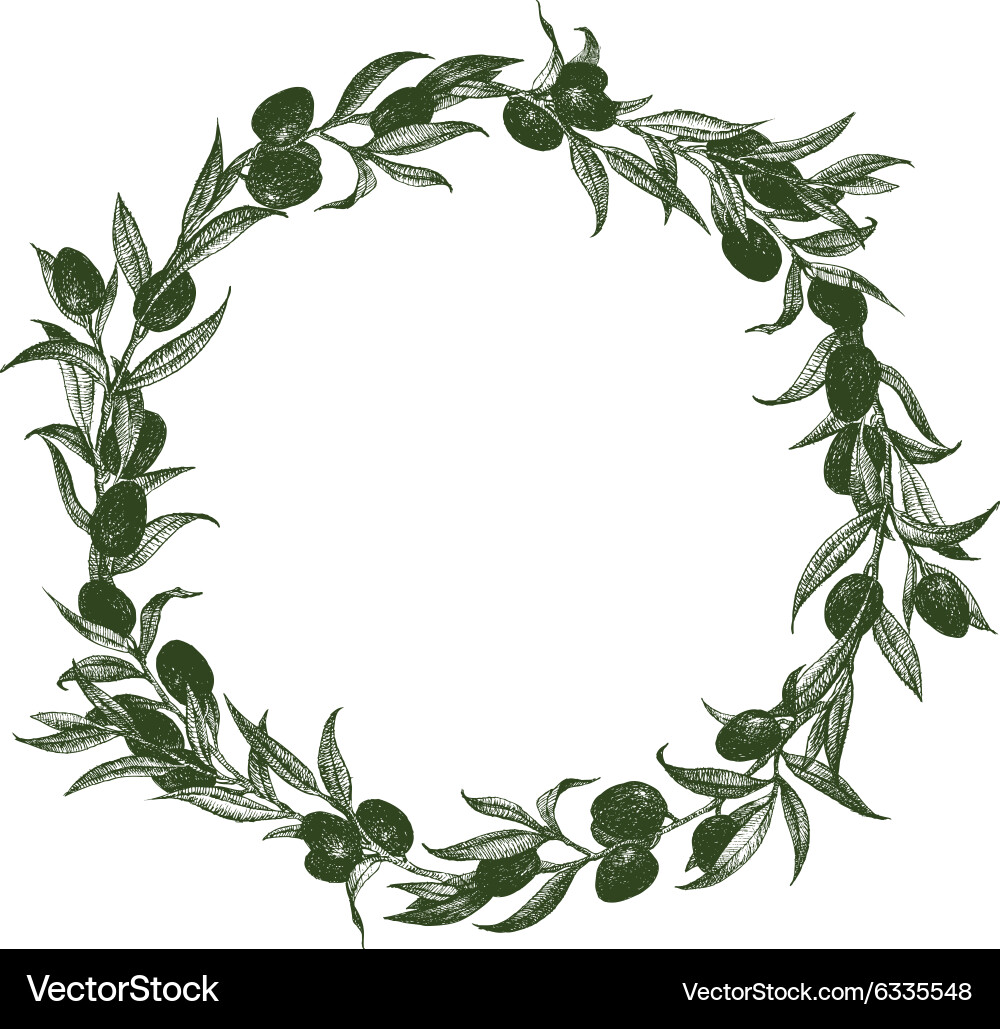 Olive wreath Royalty Free Vector Image - VectorStock