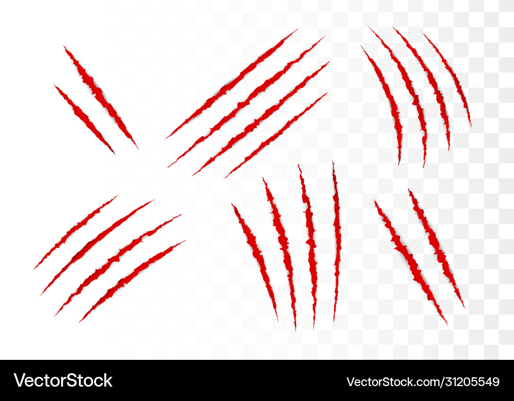 Animal Claw Scratches - Set Vector Image