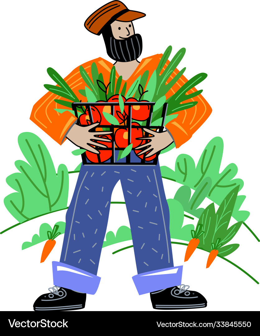 Bauern erntet lokale Bio-Produktion Öko-Lebensmittel Bauern erntet lokale Bio-Produktion Öko-Lebensmittel vektorbild