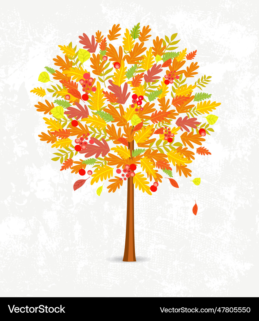 Decorative autumn tree round shape with colorful Decorative autumn tree round shape with colorful Vector Image