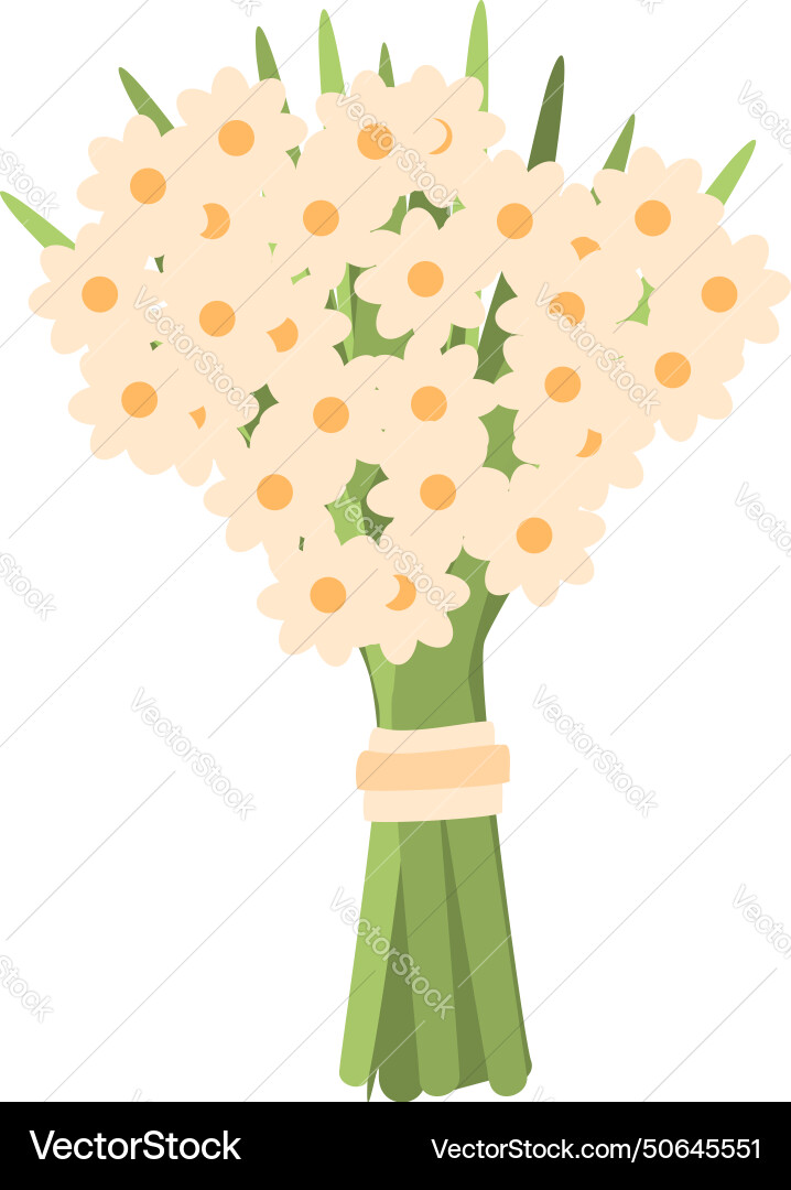 Spring white flowers bouquet icon cartoon Vector Image