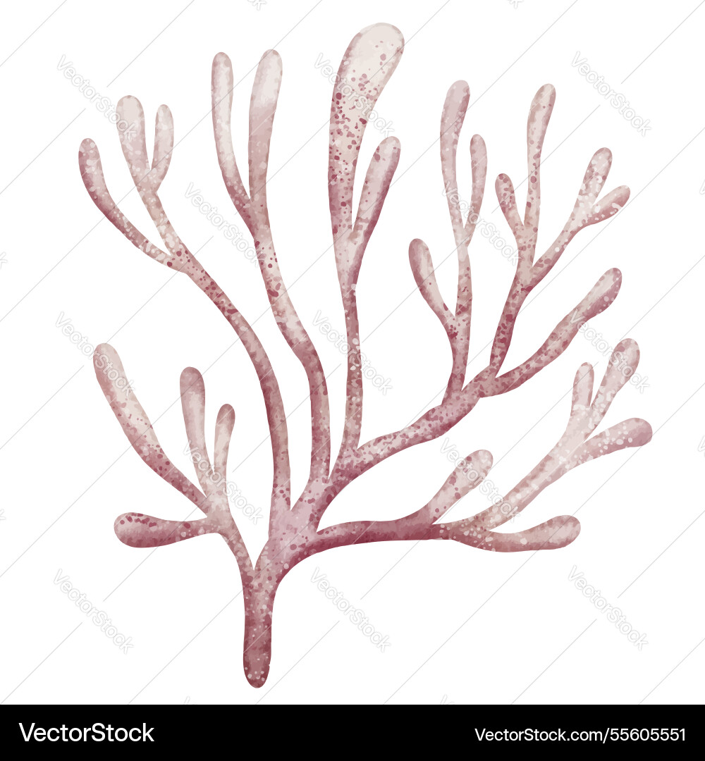 Watercolor of pastel pink coral reef Watercolor of pastel pink coral reef vector image