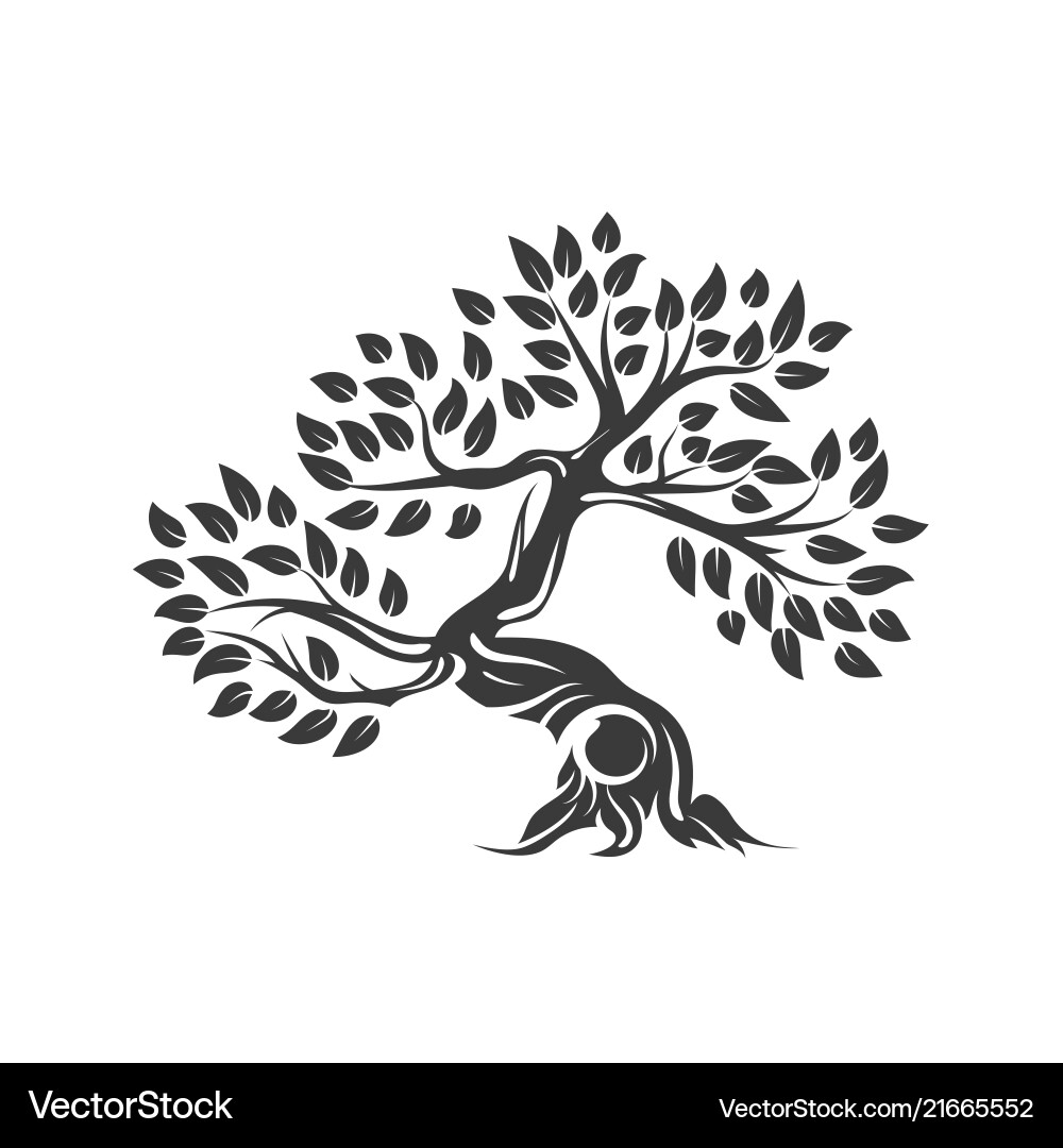 Bio natürliche und gesunde Olivenbaum Silhouette Bio natürliche und gesunde Olivenbaum Silhouette vektorbild