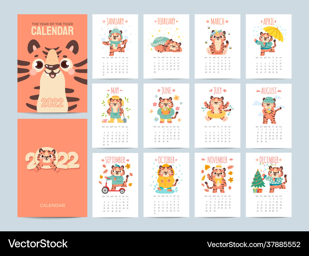 Calendar 2022 with cute tigers covers and 12 Calendar 2022 with cute tigers covers and 12 vector image