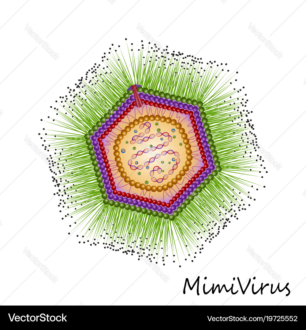 Colourful Virus Particle Structure Vector Image