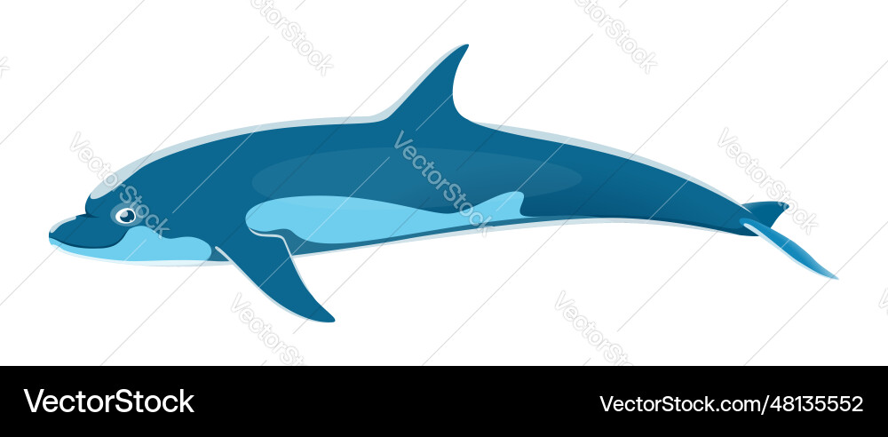 Meer Delphin Tiercharakter marine Kreatur Meer Delphin Tiercharakter marine Kreatur vektorbild